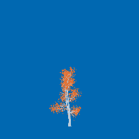 greenshift tree