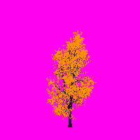 greenshift tree