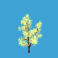 greenshift tree