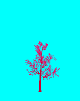 greenshift tree