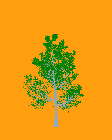 greenshift tree