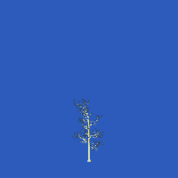 greenshift tree