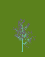 greenshift tree