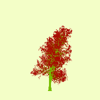 greenshift tree
