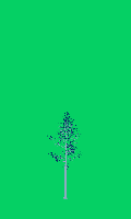 greenshift tree