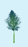 greenshift tree