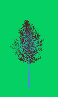 greenshift tree