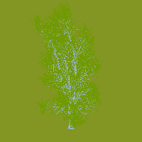greenshift tree