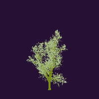 greenshift tree