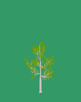 greenshift tree