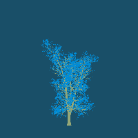 greenshift tree