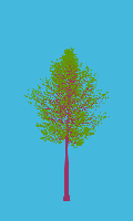 greenshift tree
