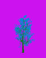 greenshift tree