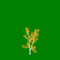 greenshift tree