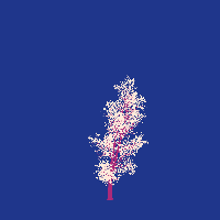 greenshift tree