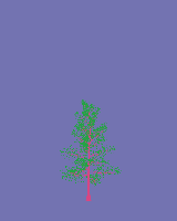greenshift tree