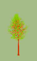 greenshift tree