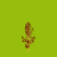 greenshift tree