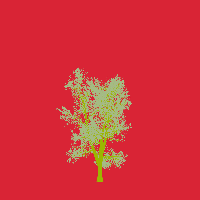 greenshift tree