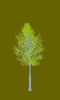 greenshift tree