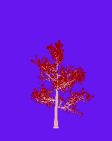 greenshift tree