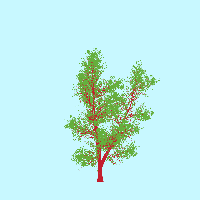 greenshift tree