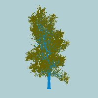 greenshift tree
