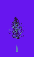 greenshift tree