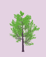 greenshift tree