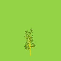 greenshift tree