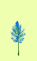 greenshift tree