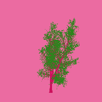 greenshift tree