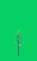 greenshift tree