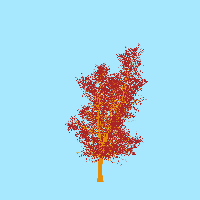 greenshift tree