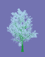 greenshift tree