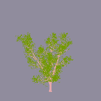 greenshift tree