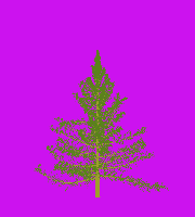 greenshift tree