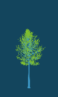 greenshift tree