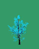 greenshift tree