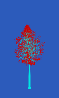 greenshift tree