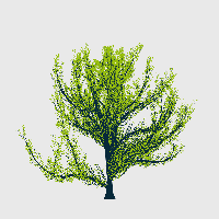 greenshift tree