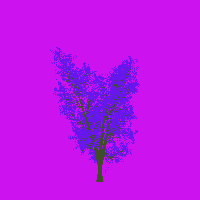 greenshift tree