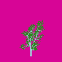 greenshift tree