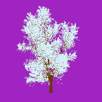 greenshift tree