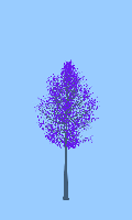 greenshift tree