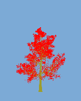 greenshift tree
