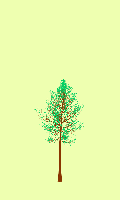 greenshift tree
