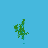 greenshift tree