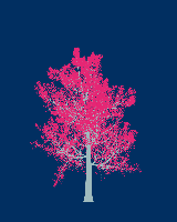 greenshift tree