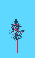 greenshift tree